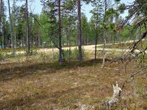 Sodankylä Kakslauttanen