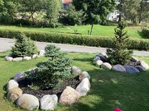 Tämän talon puutarha on hurmaava