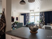 Saareke joka jakaa keittiön ja olohuoneen