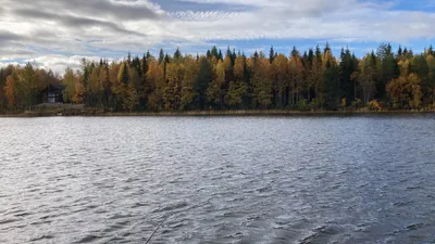 Tontti, 5 000 m², Norvajärvi - View 2