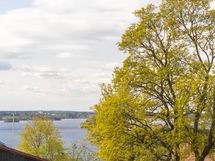 Näkymä Pyhäjärven suuntaan