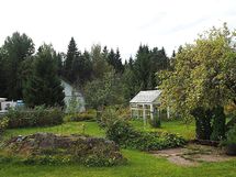 Piha kesällä 2025