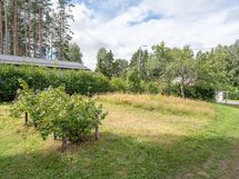 kuvaa loppukesästä