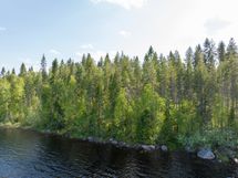 Sotkamo, Pieni-Kiimanen, Kaitainsami