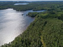 Mäntyharju, Rautjärvi