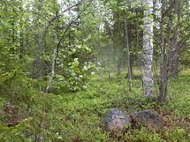 Pello, Miekojärvi, Karhumaan ranta-asemakaava