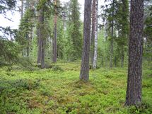 Pello, Miekojärvi-Karhumaa