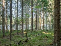Heinävesi, Karvio, Virranniemi