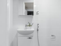 Erillinen wc