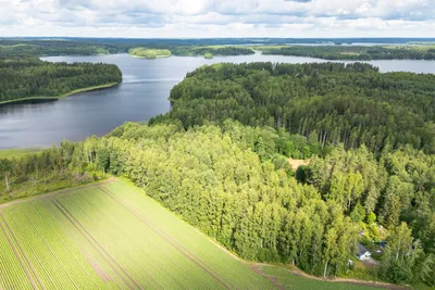 Tontti, 8 180 m², Teväntö - View 2