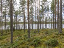 Rovaniemi-Venejärvi