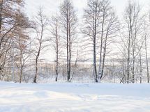 Upeat ulkoilumaastot löytyvät läheltä