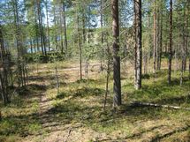 Suomussalmi, Kaunisniemi-Merkkivirta