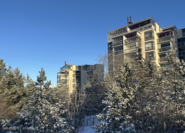 Asuntoilmoituksen kuva