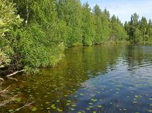 Hyrynsalmi, Teerijärvi-Koirajärvi