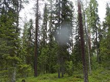 Pello, Miekojärvi-Karhumaa