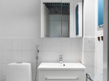 Erillinen wc