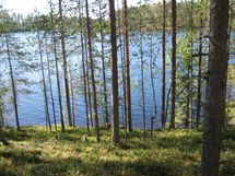 Suomussalmi, Kaunisniemi-Merkkivirta