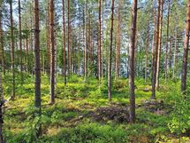 Heinävesi, Suuri Humalajärvi