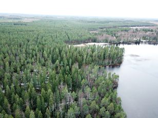 Kohdekuva
