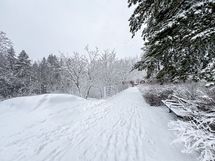 Keskuspuistoon pääset käytännössä kotiovelta.