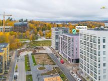 Ilmakuva Samiveturinpuistosta