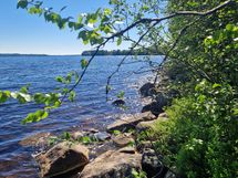 Sotkamo, Pieni-Kiimanen, Kaitainsami