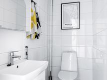 Erillinen wc