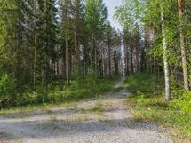 Varkaus, Miehalanjärvi, Sopalanniementie