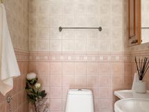 Alakerran erillinen wc