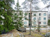 Suoraan kotirapusta metsänrauhaan