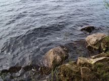 Sonkajärvi, Luomanen