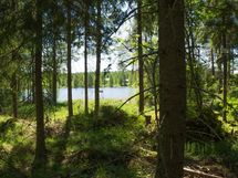 Heinävesi, Jänisvesi, Palokki