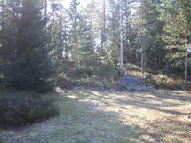 Takapiha keväällä