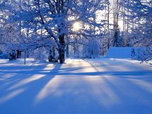 Kartano sijaitsee lumisella alueella