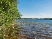 Mäntyharju, Rautjärvi