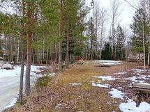 Saimaan ranta