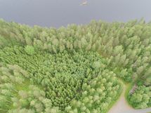 Puumala, Saimaa, Laakko