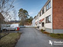 Taloyhtiön pihaa ja parkkipaikat.