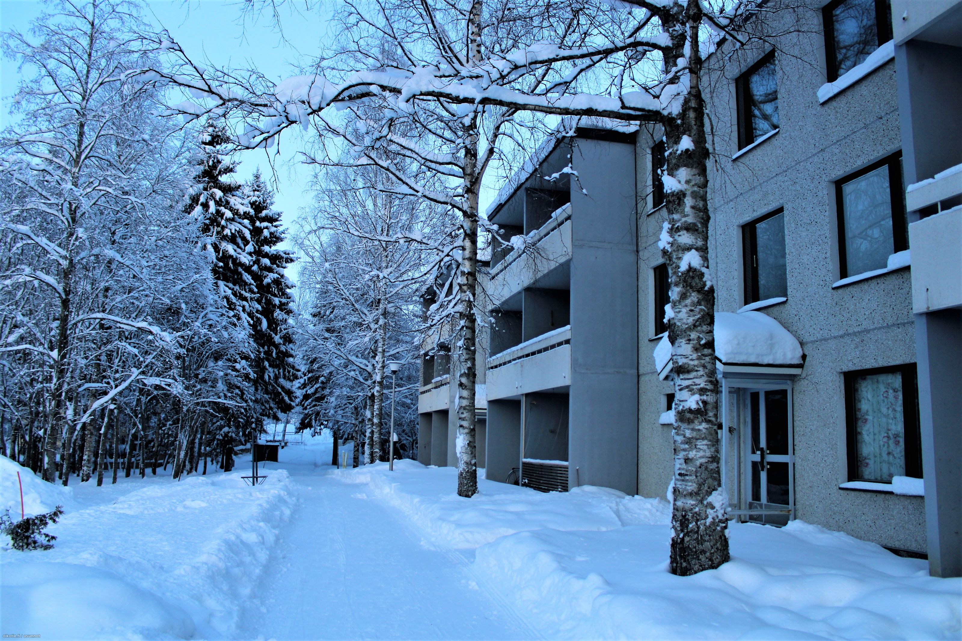 58 M Yrjonkatu 3 H 83500 Outokumpu Kerrostalo Kaksio Myynnissa Oikotie 14867727