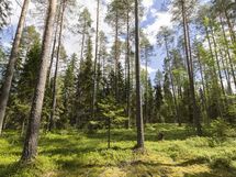 Hyrynsalmi, Hyrynjärven länsiosa