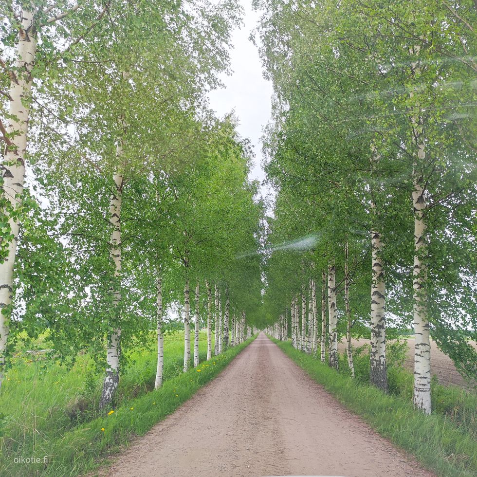 Kohdekuva