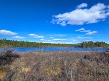 Oma ranta Ahvenjärveen