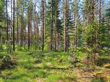 Heinävesi, Suuri Humalajärvi