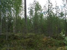 Sonkajärvi, Raudanvesi