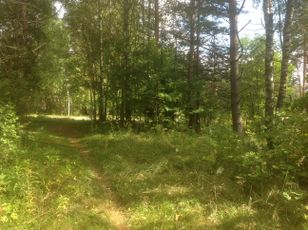 Kohdekuva