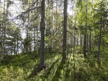 Hyrynsalmi, Hyrynjärven länsiosa
