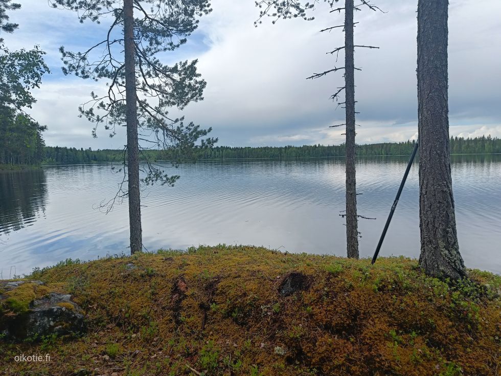 Kohdekuva