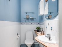 Erillinen WC