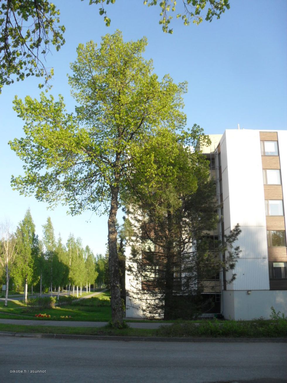 Kohdekuva